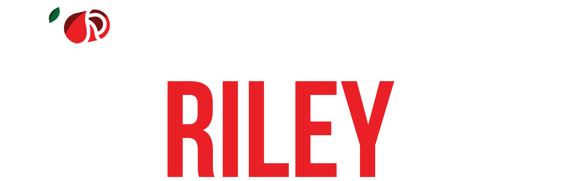 Alquiler de Equipo para Eventos